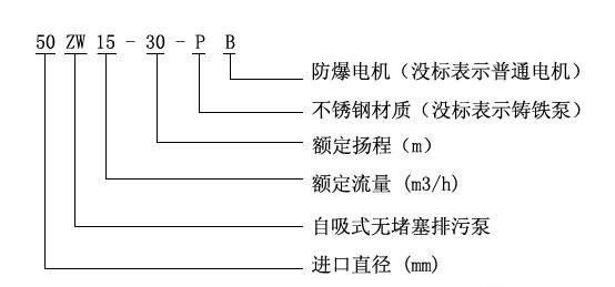ZWB防爆自吸式无堵塞深夜福利视频在线观看型号意义